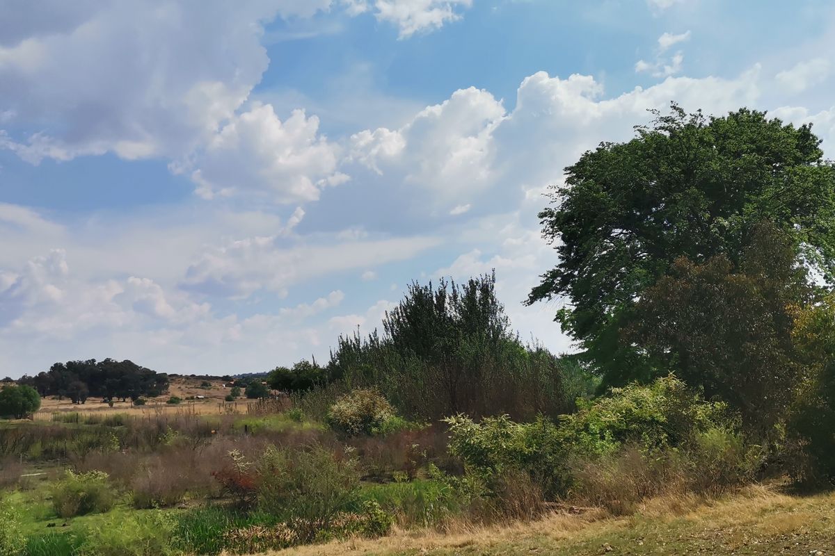 33.6HA Prime Land for Sale – Ideal for Development - Photo 4