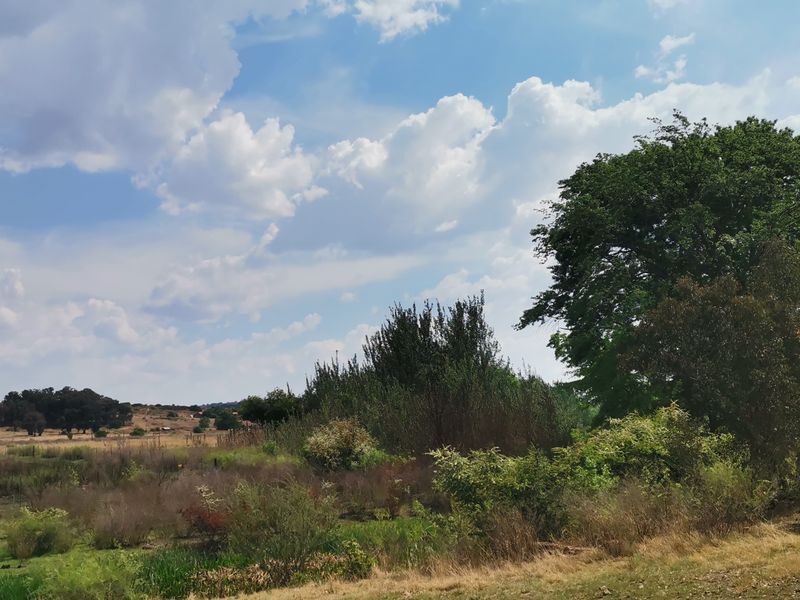 33.6HA Prime Land for Sale – Ideal for Development - Photo 4