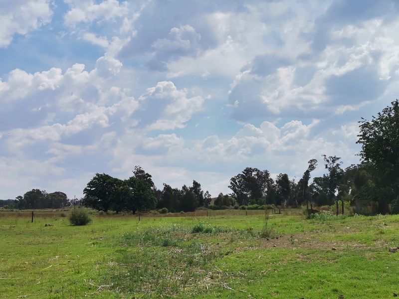 33.6HA Prime Land for Sale – Ideal for Development - Photo 9