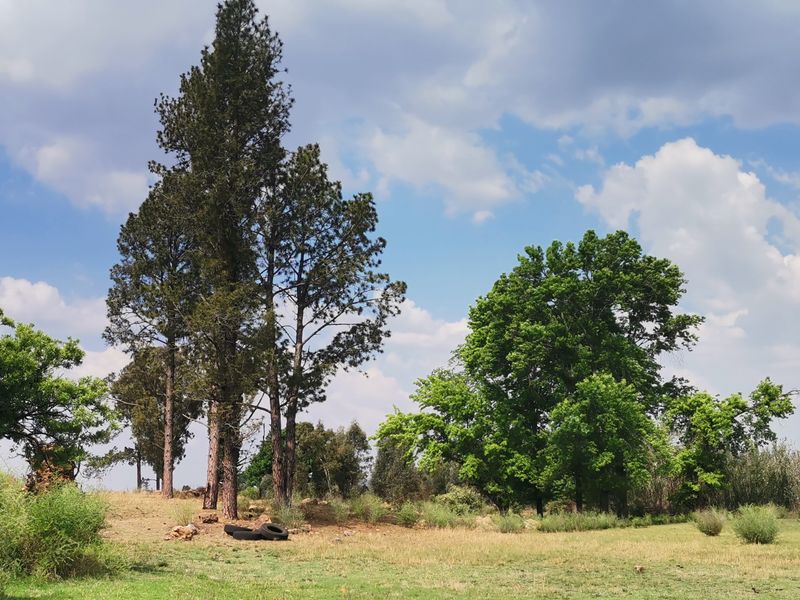 33.6HA Prime Land for Sale – Ideal for Development - Photo 7