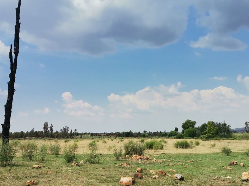 33.6HA Prime Land for Sale – Ideal for Development - Photo 6