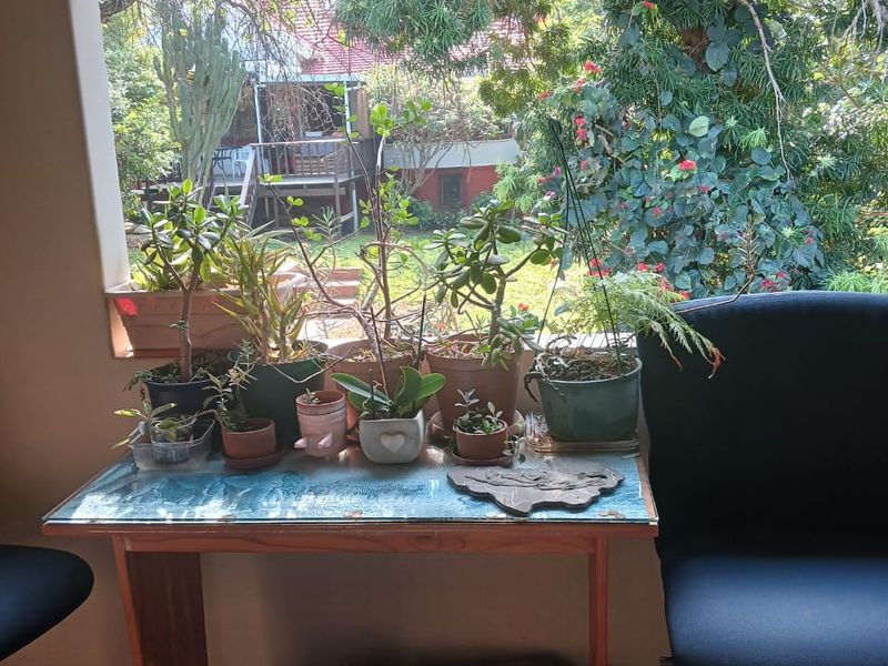 Pet friendly 1 Bedroom Flat R520 000 - Photo 6