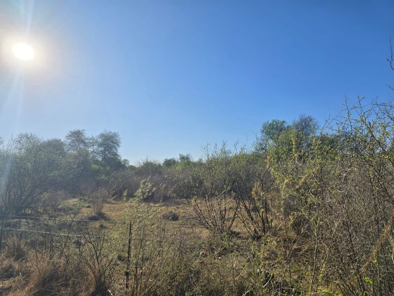 Vacant land in Ebner On Vaal - Photo 5