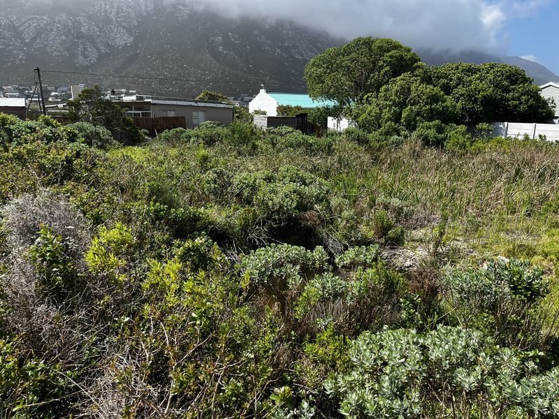 Cozy Plot in Ixia Road, Betty’s Bay - Photo 2