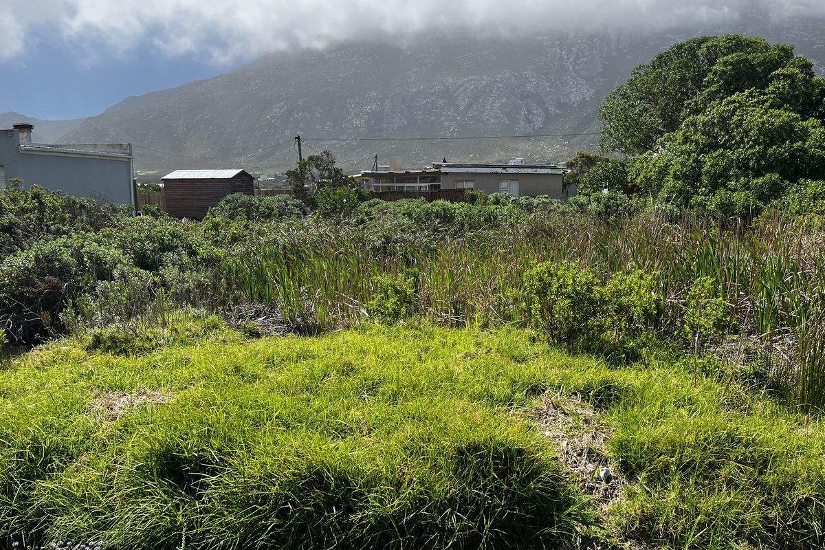 Cozy Plot in Ixia Road, Betty’s Bay - Photo 5