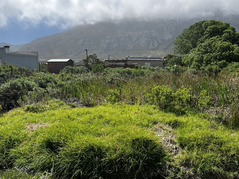 Cozy Plot in Ixia Road, Betty’s Bay - Photo 5