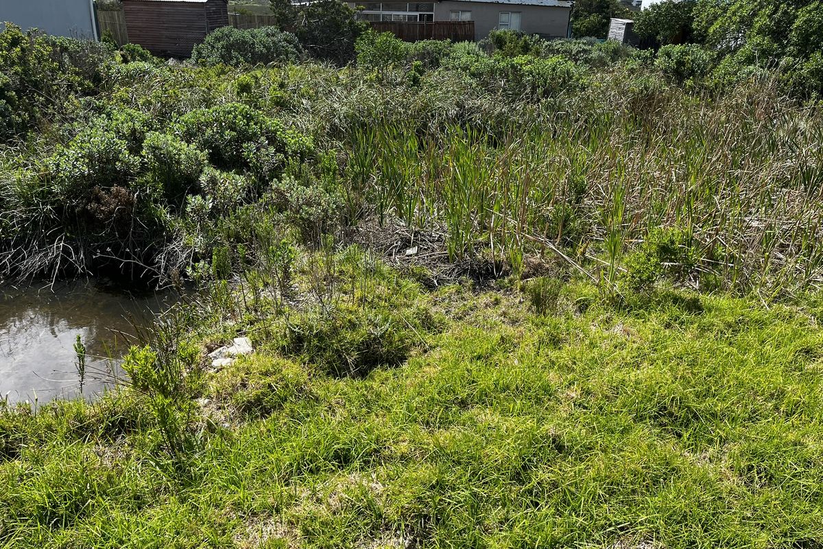 Cozy Plot in Ixia Road, Betty’s Bay - Photo 3