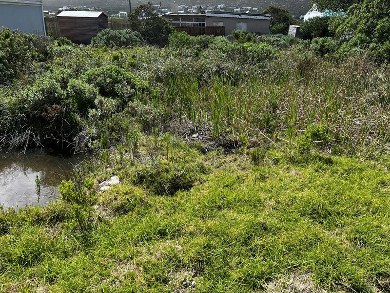 Cozy Plot in Ixia Road, Betty’s Bay - Photo 3