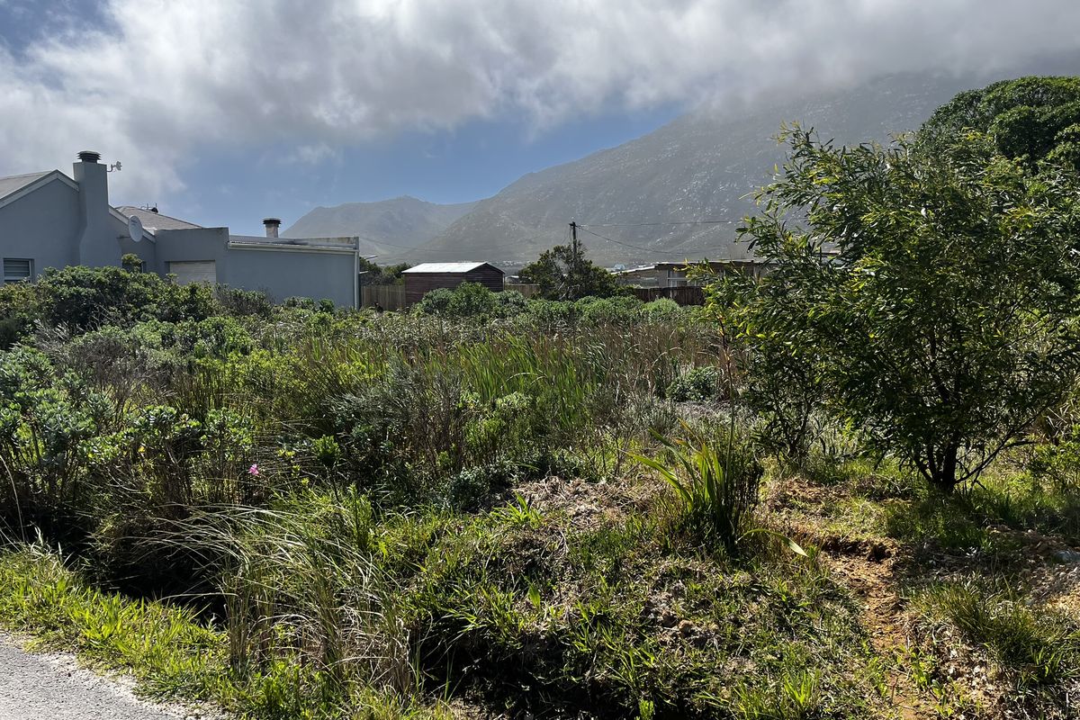 Cozy Plot in Ixia Road, Betty’s Bay - Photo 4