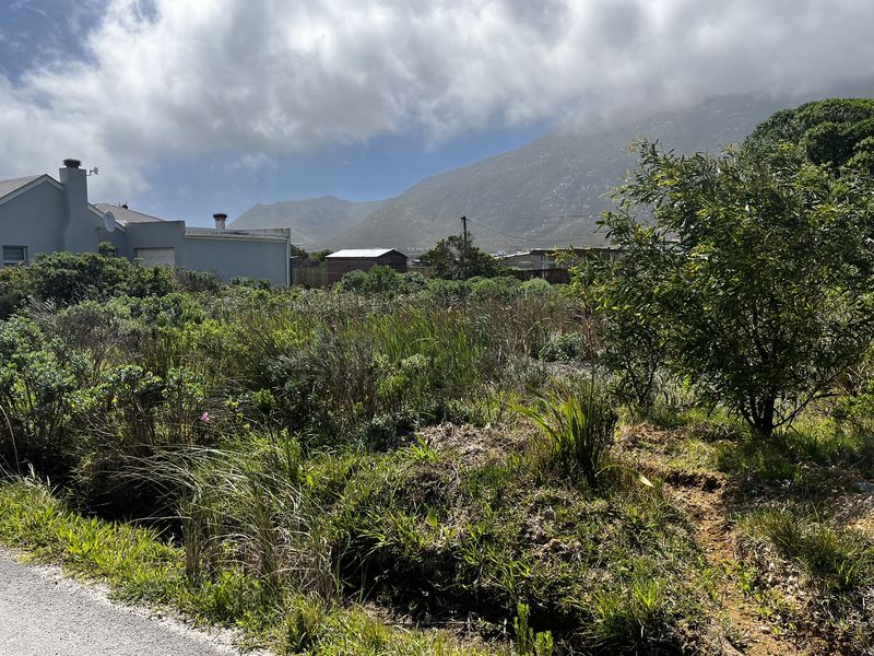 Cozy Plot in Ixia Road, Betty’s Bay - Photo 4