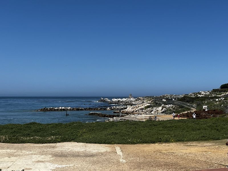 Cozy Plot in Ixia Road, Betty’s Bay - Photo 7