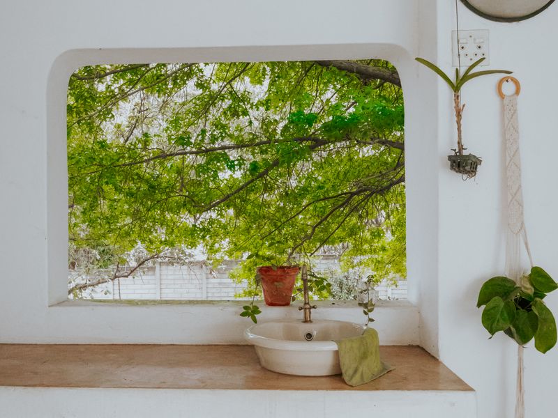 Prime Income-Generating property with excellent main road visibility. - Photo 8