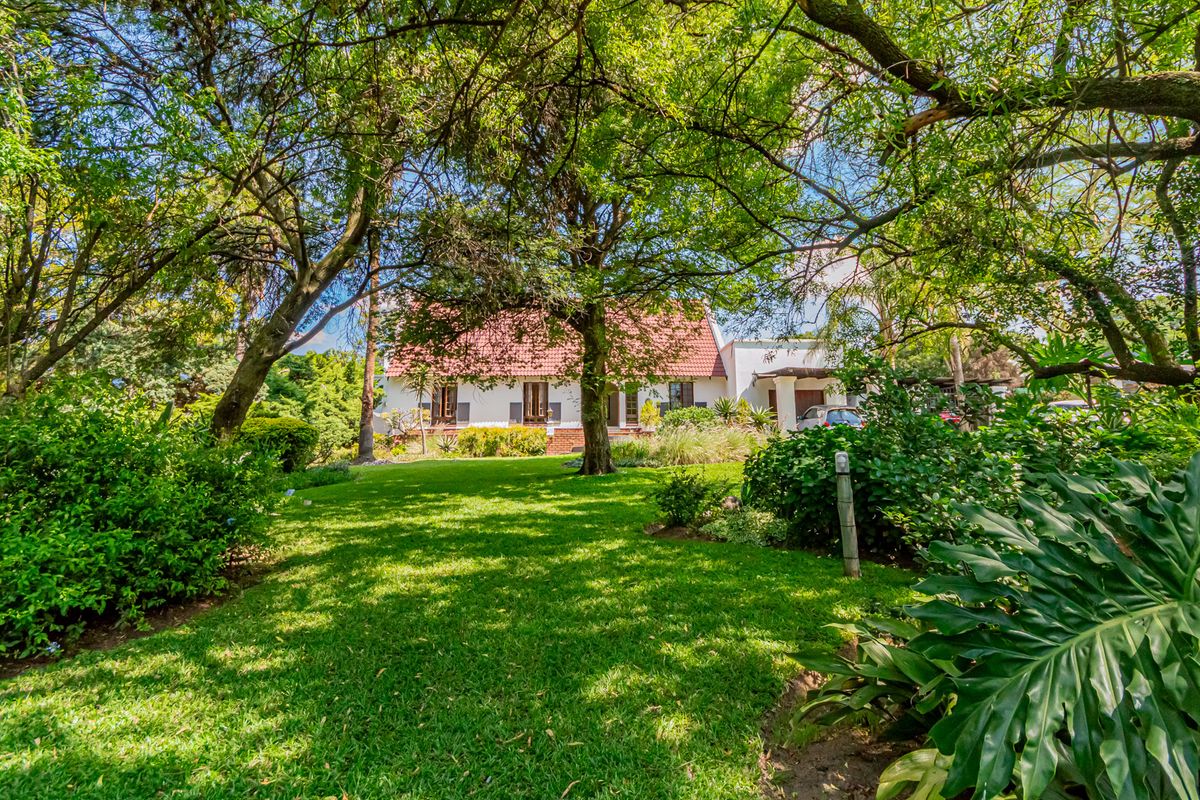 Prime Income-Generating property with excellent main road visibility. - Photo 4