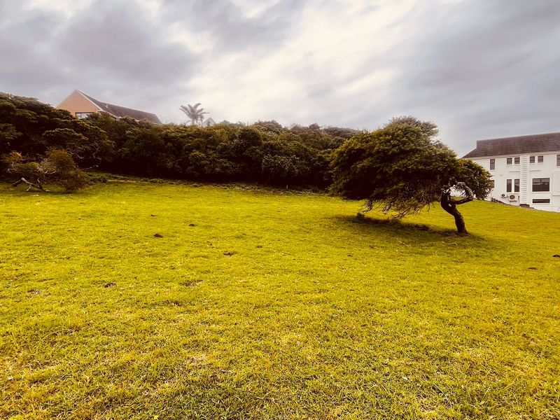 Cove Rock Country Estate - Photo 5