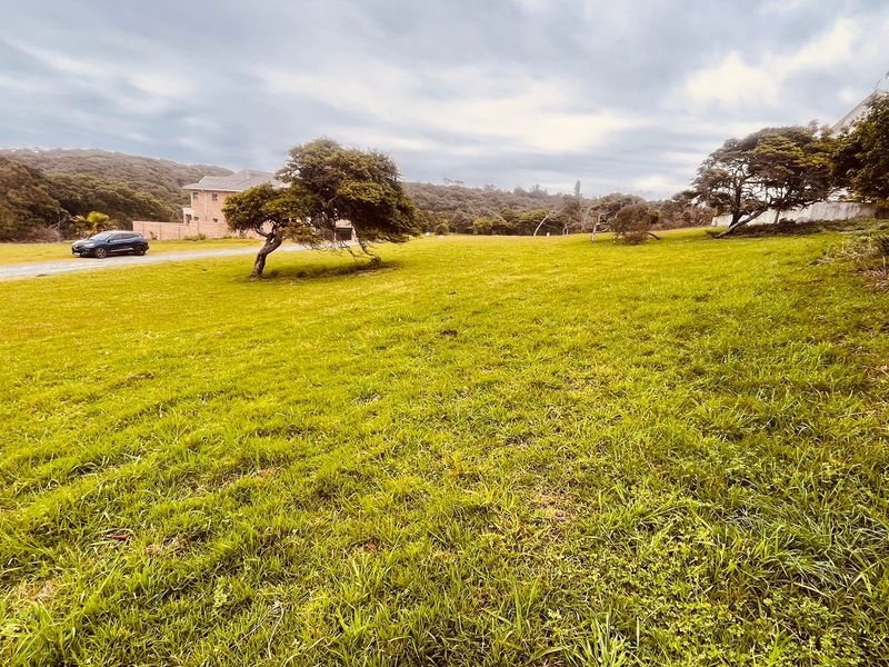 Cove Rock Country Estate - Photo 4