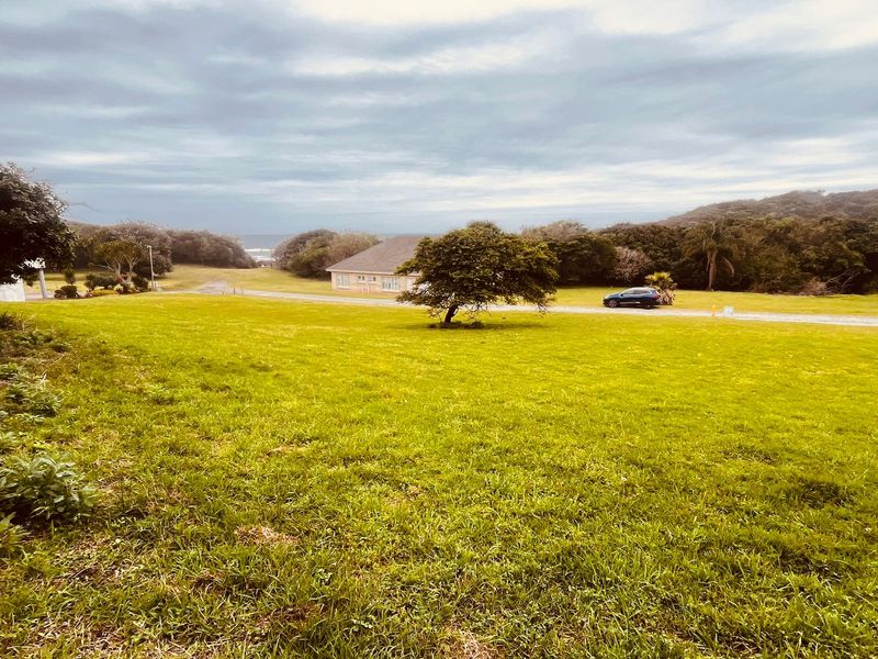 Cove Rock Country Estate - Photo 7