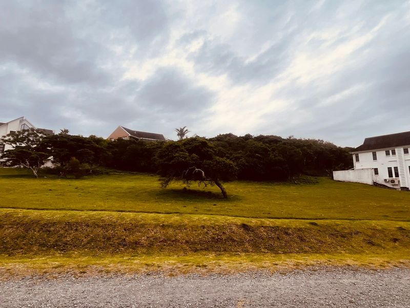 Cove Rock Country Estate - Photo 6