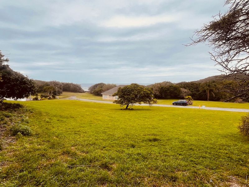 Cove Rock Country Estate - Photo 2