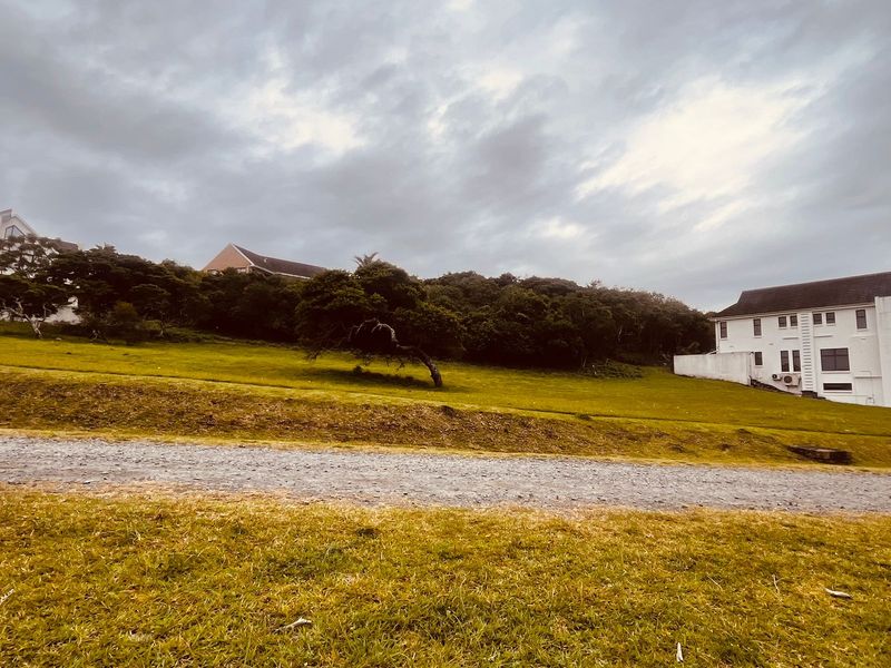 Cove Rock Country Estate - Photo 3