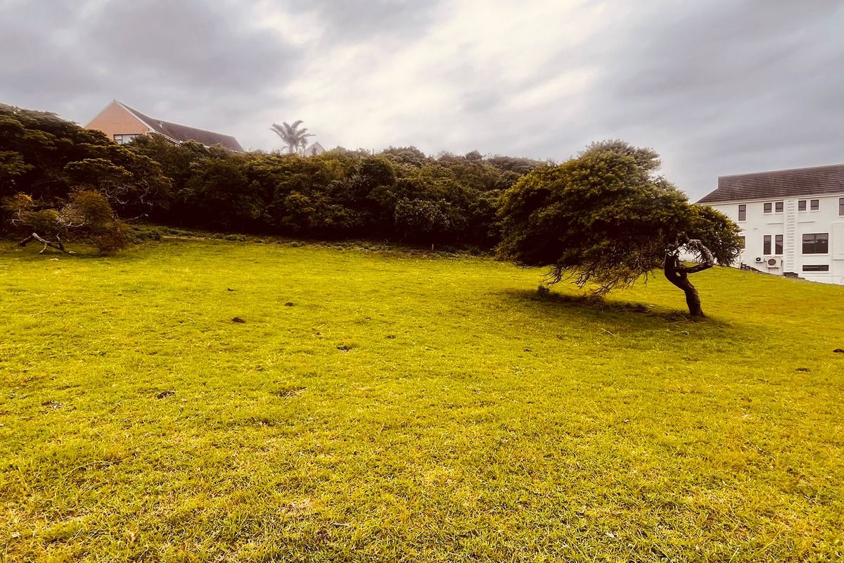 A spacious, grassy residential plot featuring mature trees and a gentle slope, offering a peaceful outdoor setting.