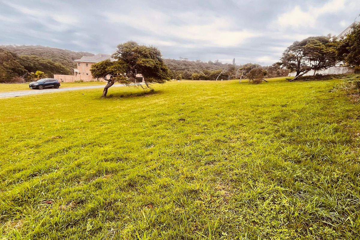 A spacious, open residential plot featuring a well-maintained grass lawn and mature trees, offering a peaceful setting for future development.