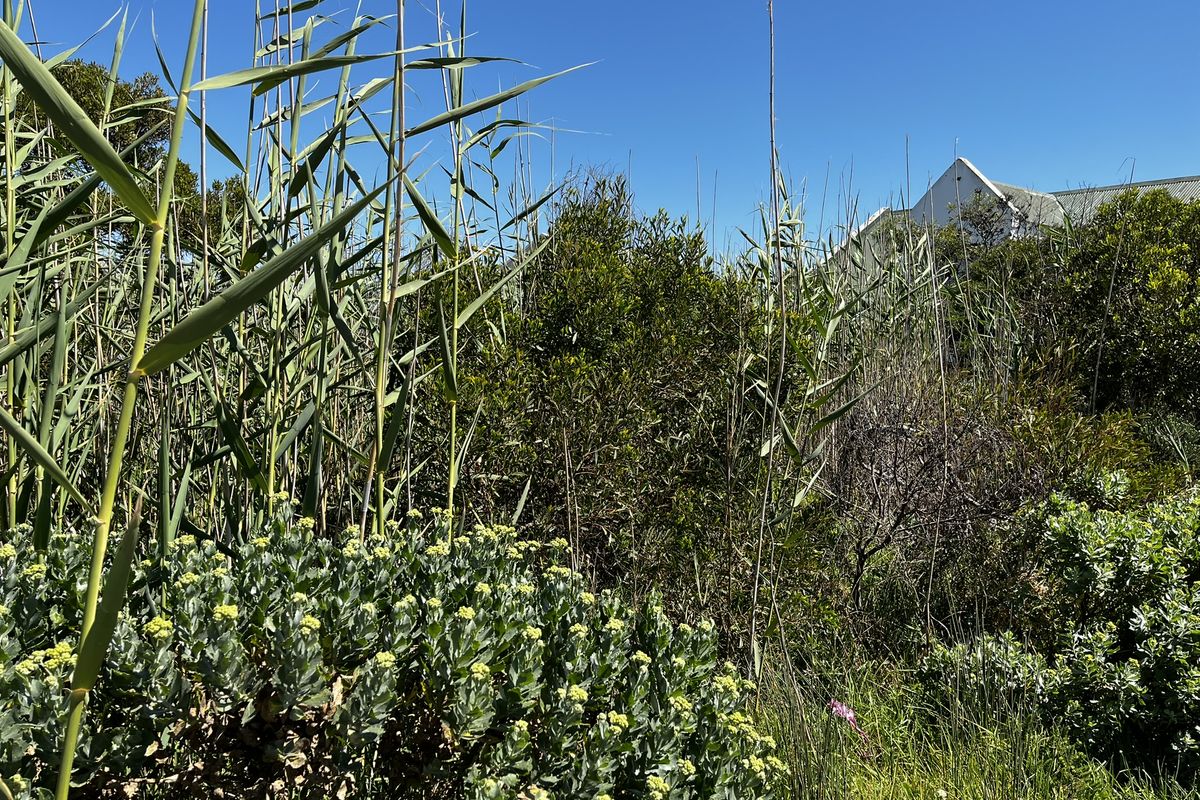 Sunny 600m2 vacant plot — walking distance to Grootvlei Lake - Photo 3