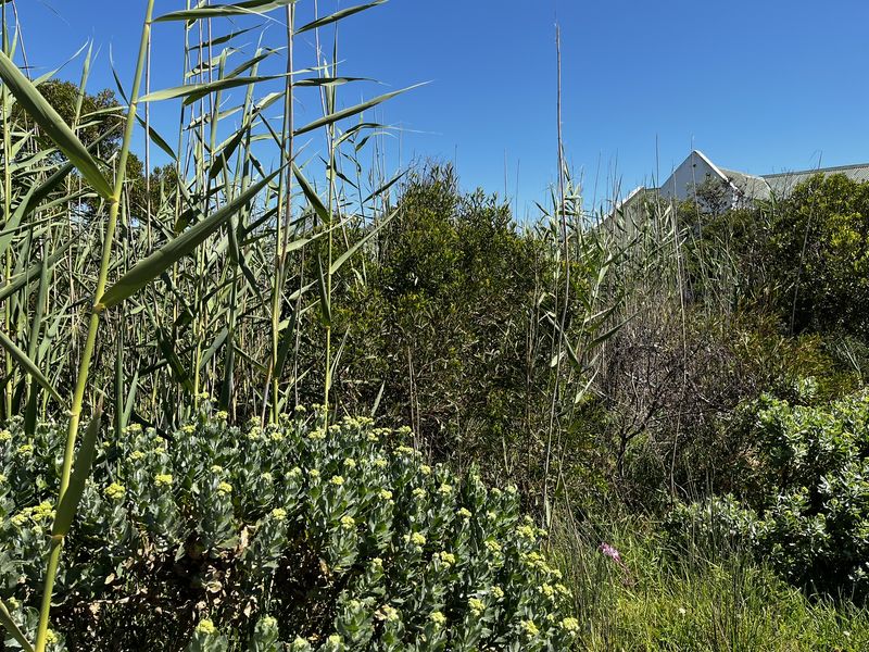 Sunny 600m2 vacant plot — walking distance to Grootvlei Lake - Photo 3