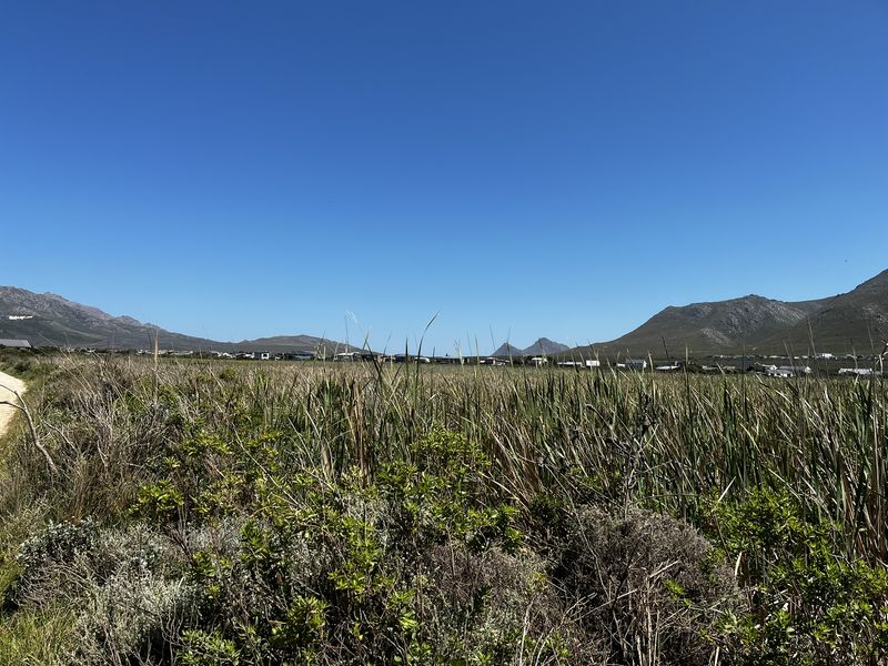 Sunny 600m2 vacant plot — walking distance to Grootvlei Lake - Photo 6