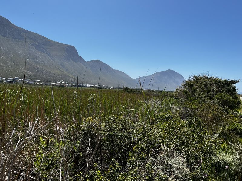 Sunny 600m2 vacant plot — walking distance to Grootvlei Lake - Photo 7