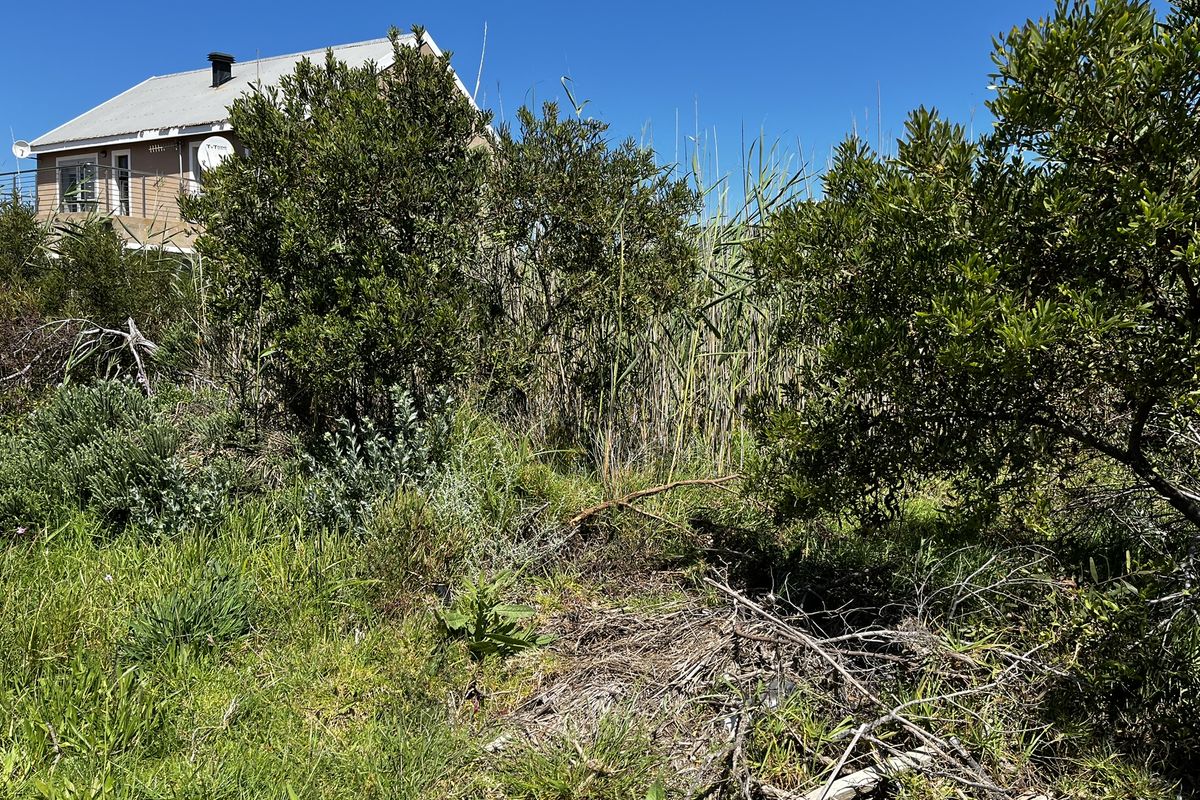 Sunny 600m2 vacant plot — walking distance to Grootvlei Lake - Photo 2