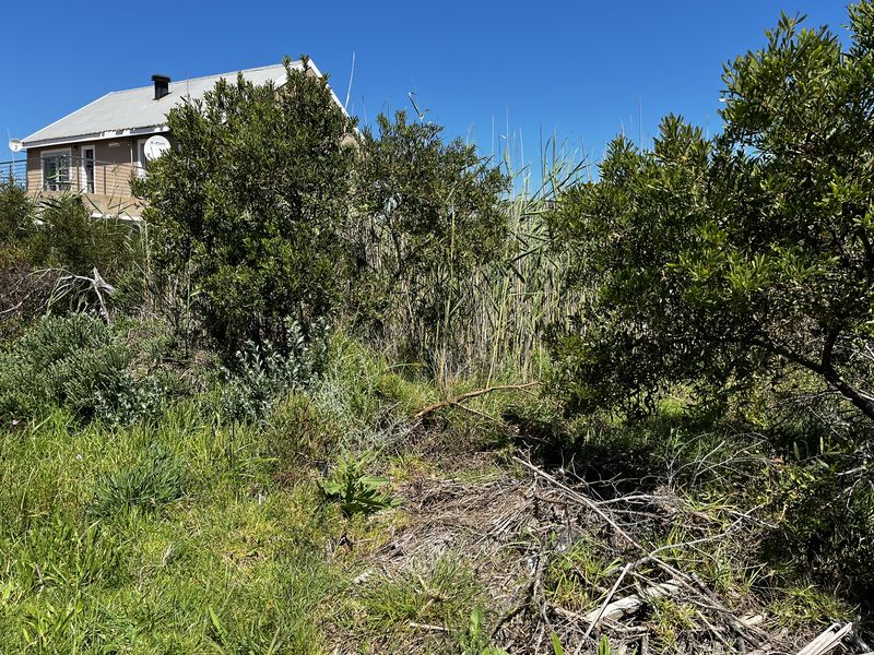 Sunny 600m2 vacant plot — walking distance to Grootvlei Lake - Photo 2