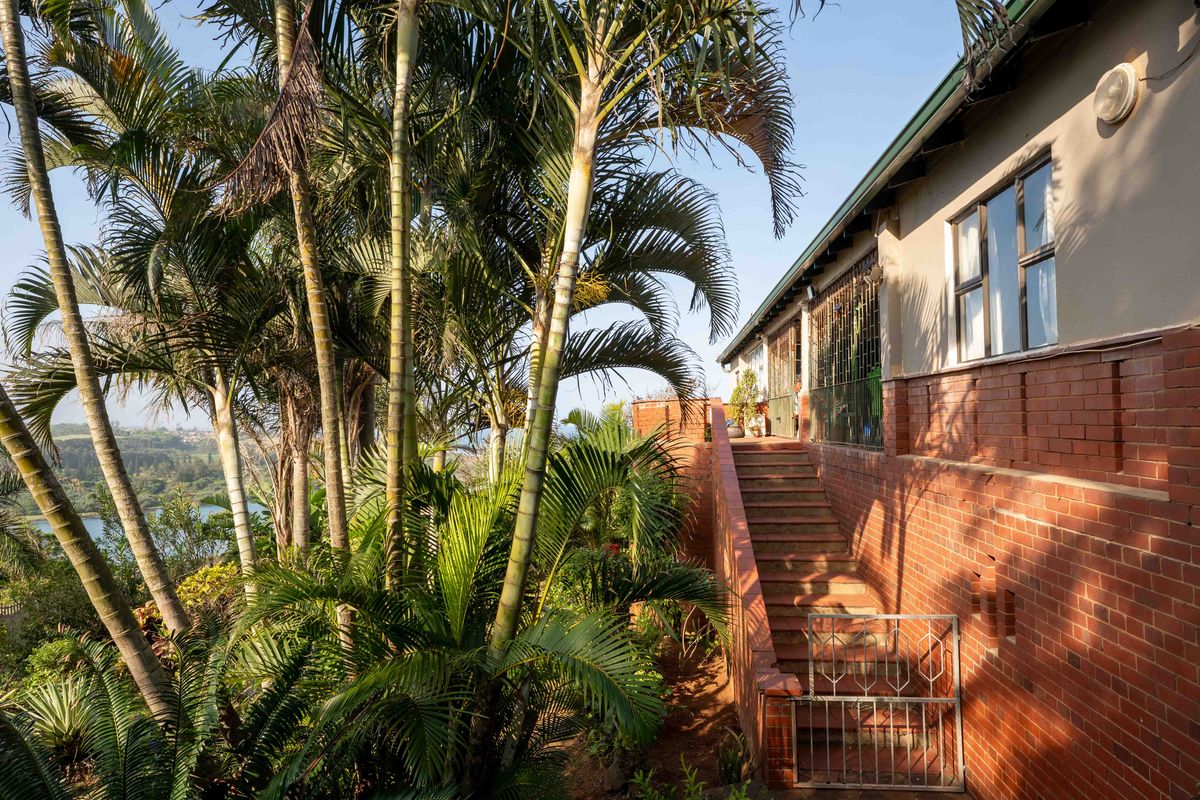 Rear exterior view featuring a brick staircase, security gates, and established garden landscaping with palm trees.