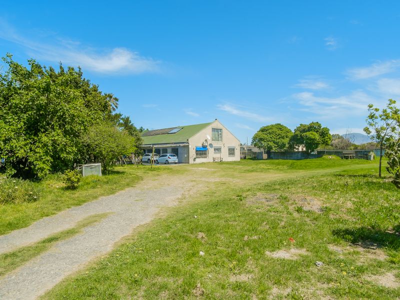 Prime 4,362m2 Rare Find: Two Adjoining Properties with Endless Potential - Develop, Invest or Occupy - Photo 6