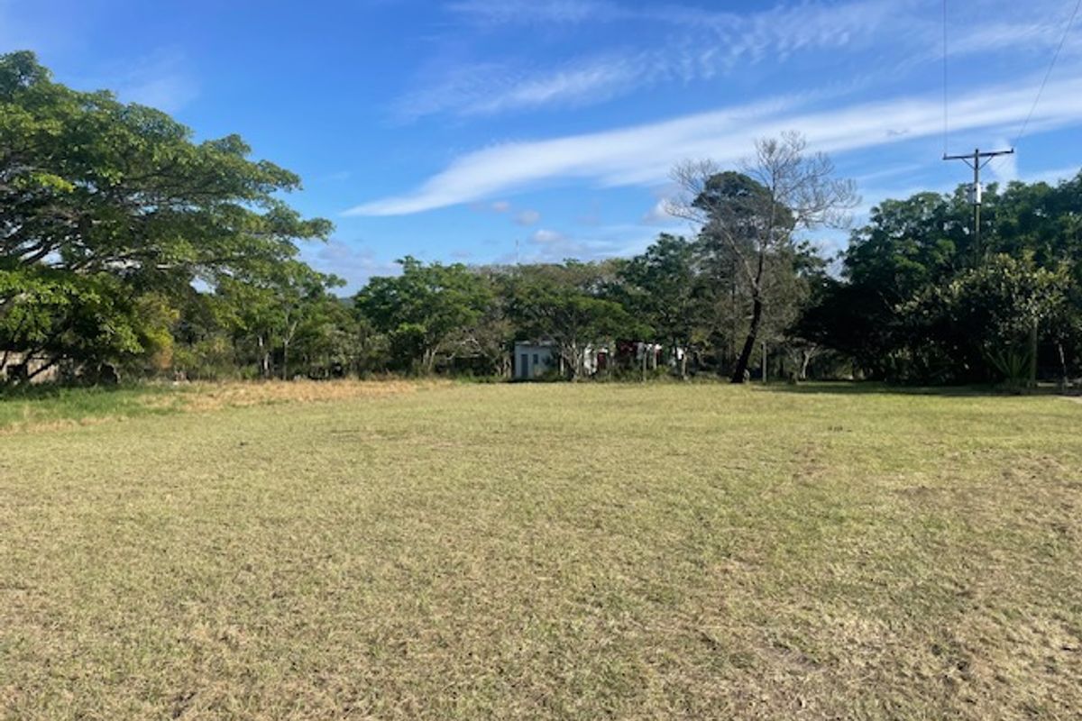 Expansive Smallholding in Prime location Ideal for Transport or Logistics . - Photo 5