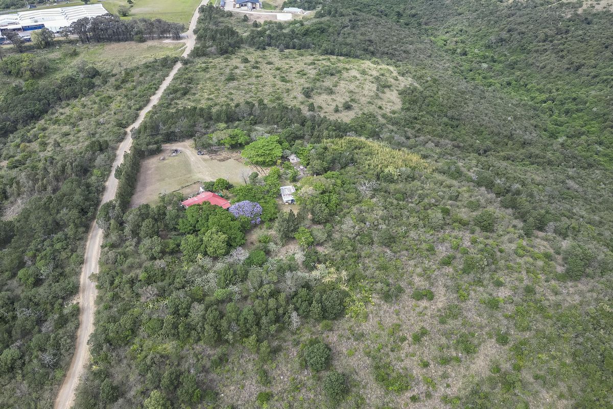 Expansive Smallholding in Prime location Ideal for Transport or Logistics . - Photo 2