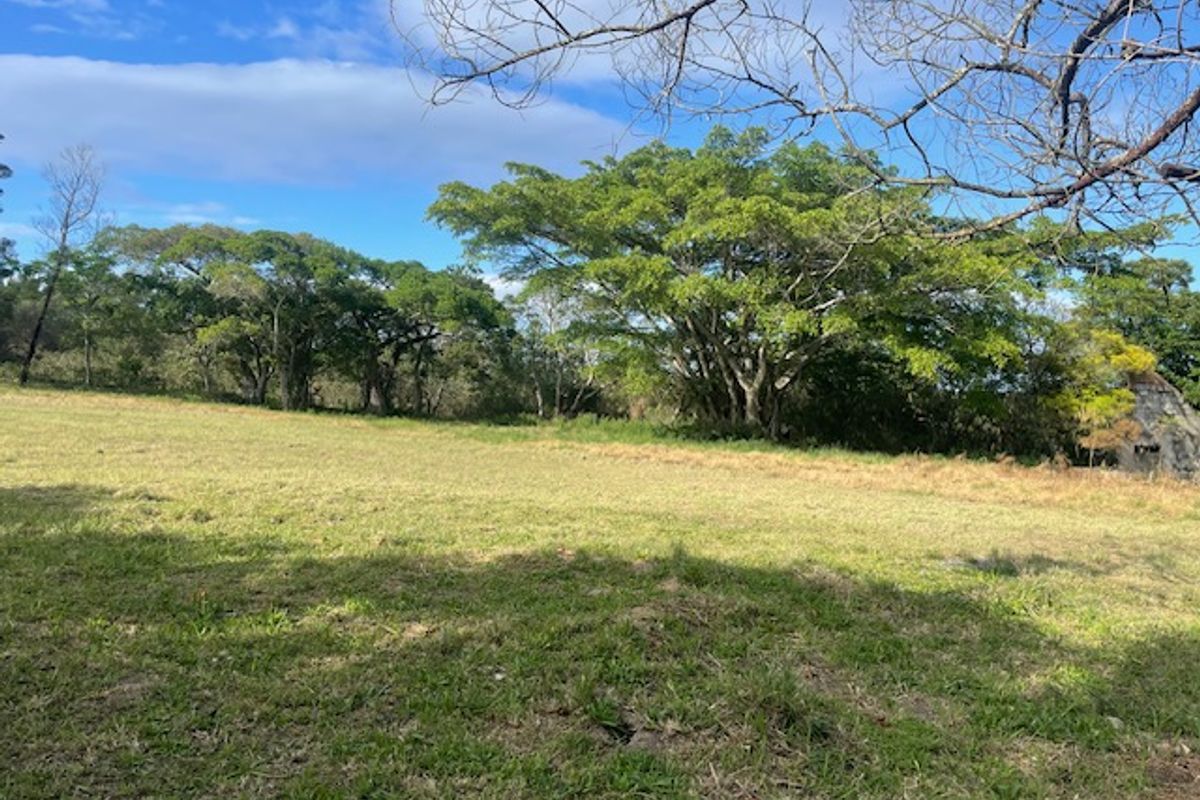 Expansive Smallholding in Prime location Ideal for Transport or Logistics . - Photo 4