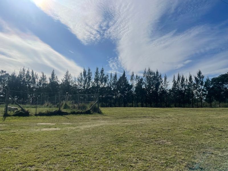 Expansive Smallholding in Prime location Ideal for Transport or Logistics . - Photo 3