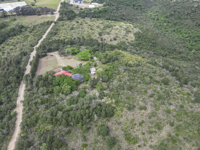 Aerial view of the small holding property, showcasing the dwelling, surrounding natural vegetation, and access road.