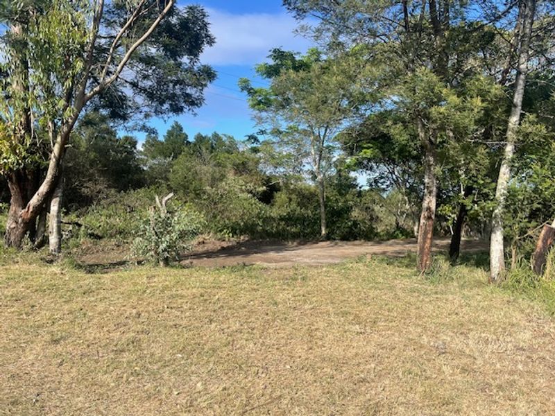 A view of the natural garden area featuring mature trees and cleared ground on the small holding property.