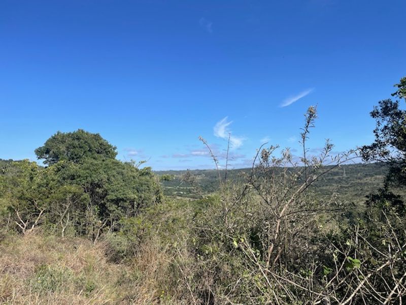 A scenic view overlooking the natural landscape and surrounding vegetation of the small holding.