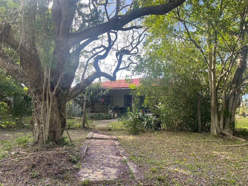 A view of the rear exterior of the property featuring a concrete pathway leading to the house, surrounded by mature trees and established garden.