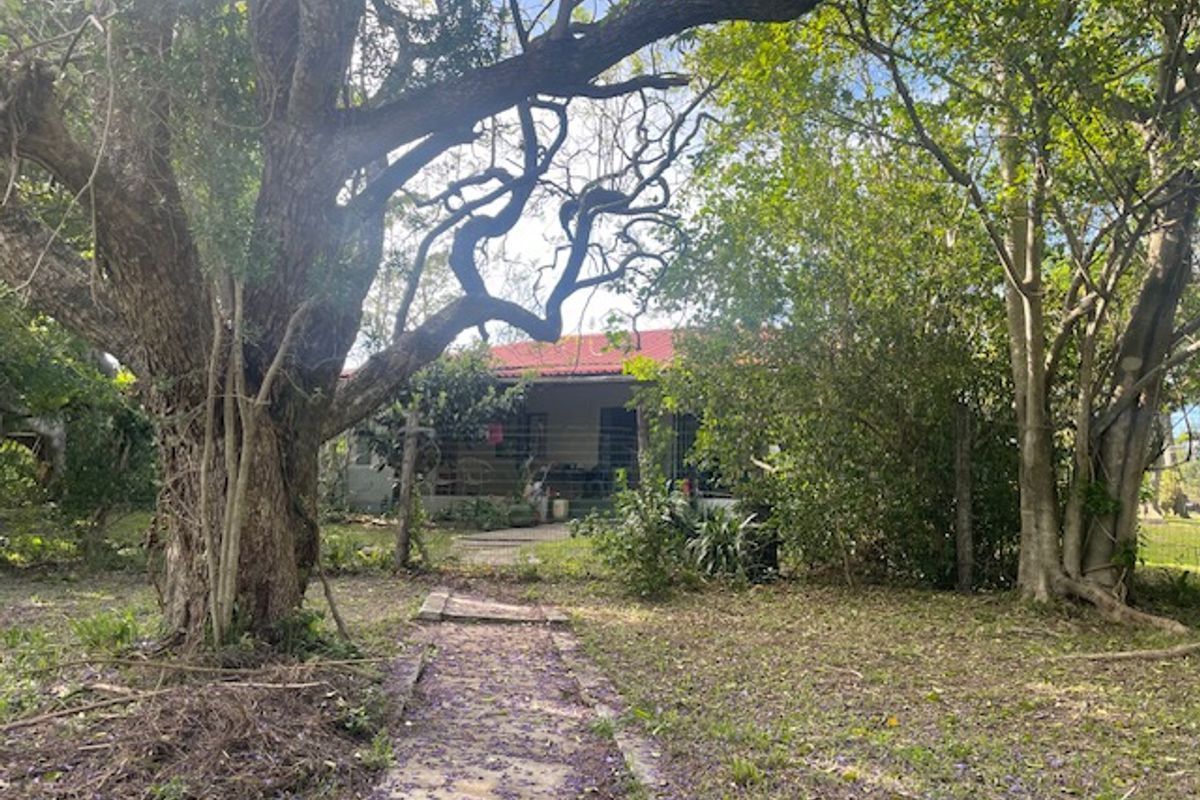 A view of the rear exterior of the property featuring a concrete pathway leading to the house, surrounded by mature trees and established garden.