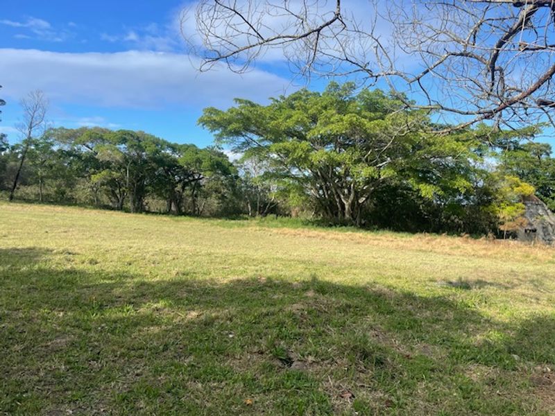 A view of the open grassland and mature trees on the small holding property.
