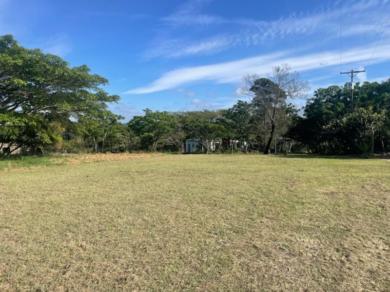 A wide, open grassy field on a small holding, featuring mature trees and clear sky views.