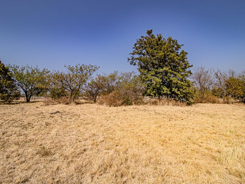 A view of a vacant residential plot featuring dry grass, mature trees, and perimeter fencing under a clear blue sky.