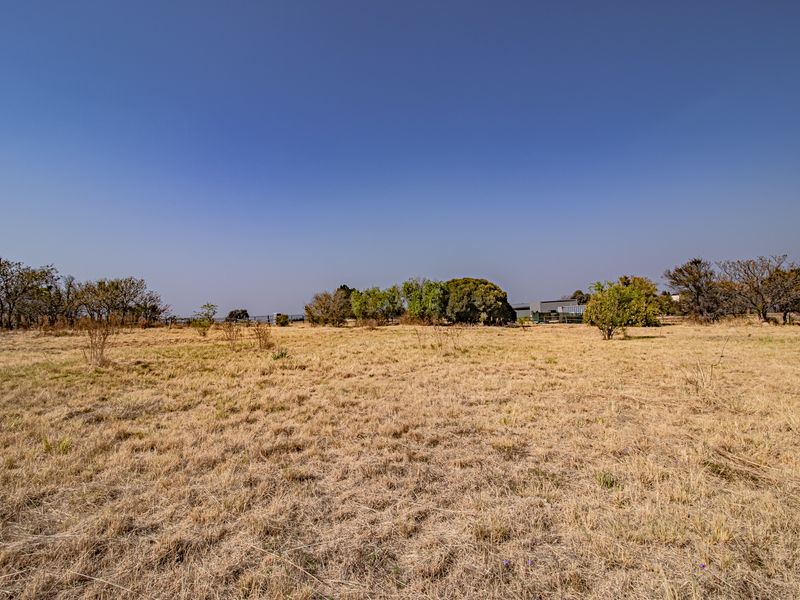 A wide-angle view of a vacant residential plot featuring dry grass and mature trees, offering a blank canvas for future development.