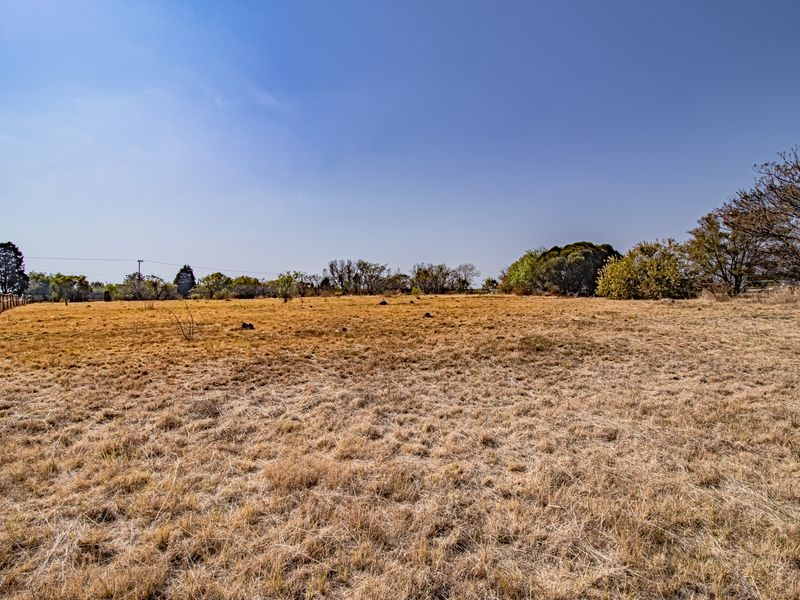 A wide-angle view of a vacant residential plot featuring dry grass, perimeter fencing, and mature trees under a clear blue sky.