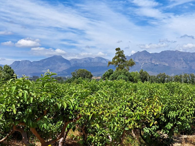 FINE RURAL LIVING - Photo 10