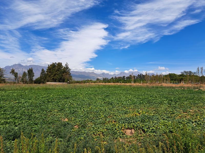 FINE RURAL LIVING - Photo 9