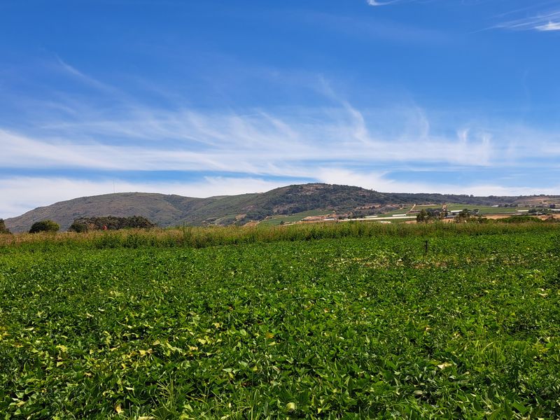 FINE RURAL LIVING - Photo 8